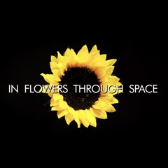 In Flowers Through Space cover