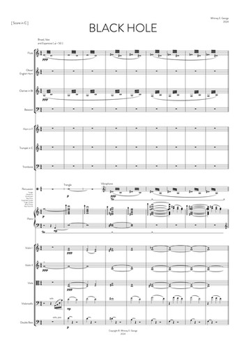 BLACK HOLE for chamber orchestra · plate 3