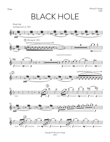 BLACK HOLE for chamber orchestra · plate 4
