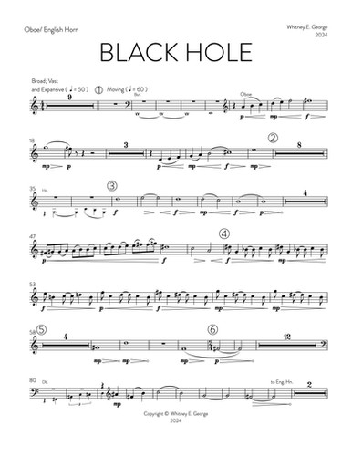 BLACK HOLE for chamber orchestra · plate 5