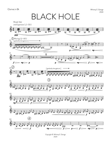 BLACK HOLE for chamber orchestra · plate 6