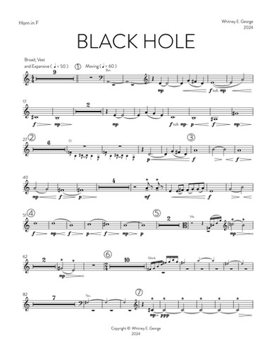 BLACK HOLE for chamber orchestra · plate 8