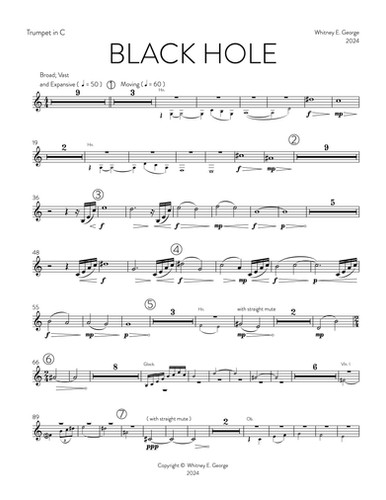BLACK HOLE for chamber orchestra · plate 9