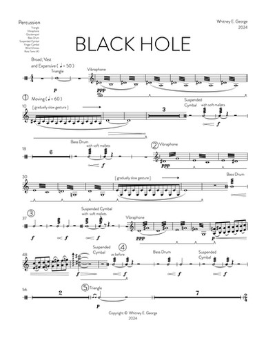 BLACK HOLE for chamber orchestra · plate 11