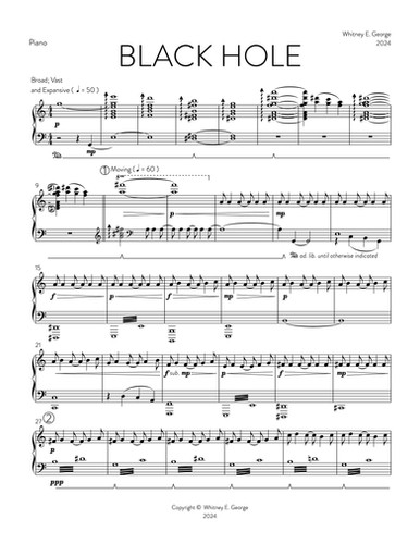 BLACK HOLE for chamber orchestra · plate 12