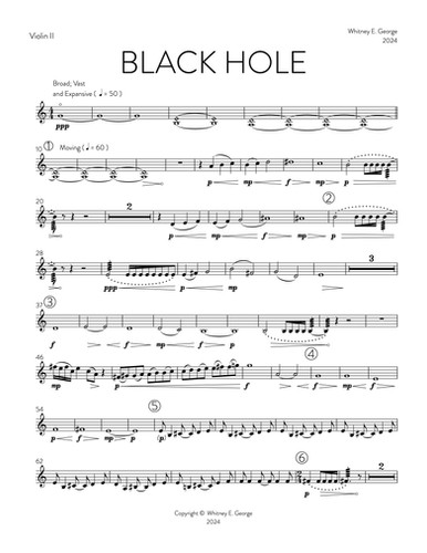BLACK HOLE for chamber orchestra · plate 14
