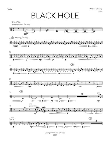 BLACK HOLE for chamber orchestra · plate 15