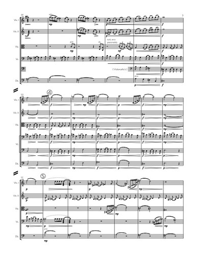 BLACK HOLE for string orchestra · plate 5