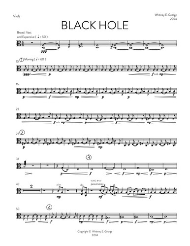 BLACK HOLE for string orchestra · plate 8
