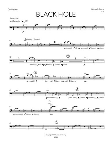 BLACK HOLE for string orchestra · plate 10