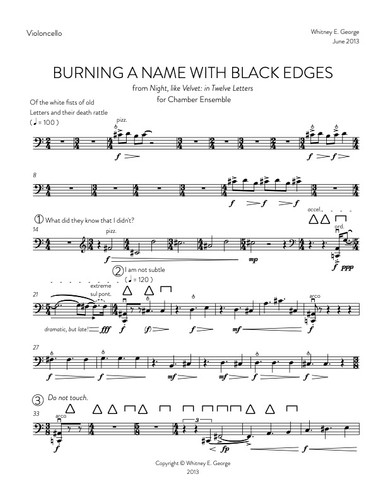 Burning a Name with Black Edges · plate 3
