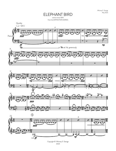 Elephant Bird from The Extinction Series (solo piano)