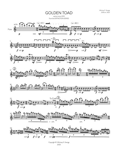 Golden Toad from The Extinction Series (solo flute)