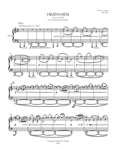 Heath Hen from The Extinction Series (solo piano)