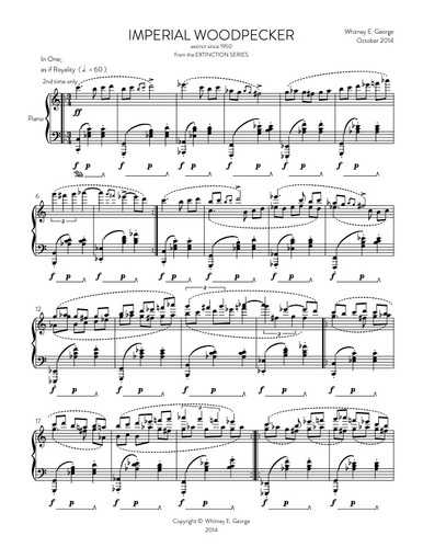 Imperial Woodpecker from The Extinction Series (solo piano)