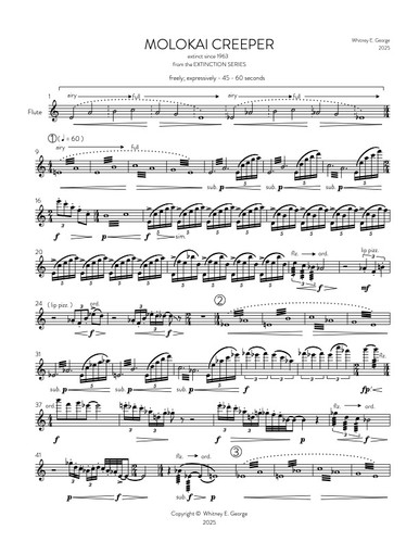 Molokai Creeper from The Extinction Series (solo flute)