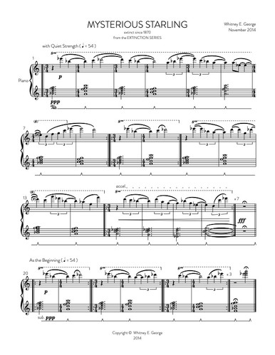 Mysterious Starling from The Extinction Series (solo piano)