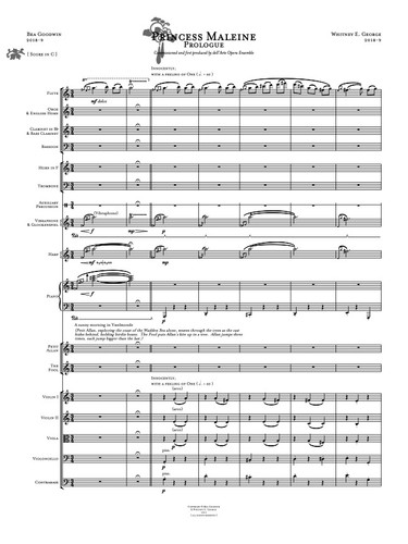 PRINCESS MALEINE [ STUDY SCORE ] · plate 6