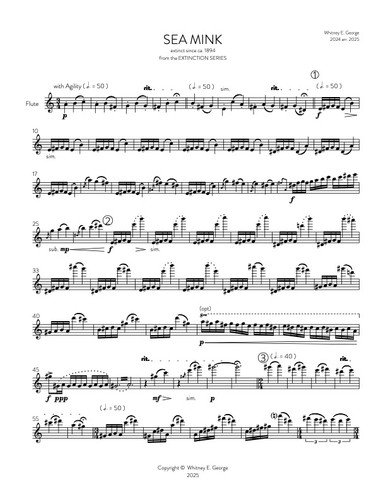 Sea Mink from The Extinction Series (solo flute)