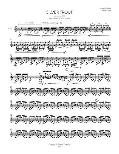 Silver Trout from The Extinction Series (solo violin)