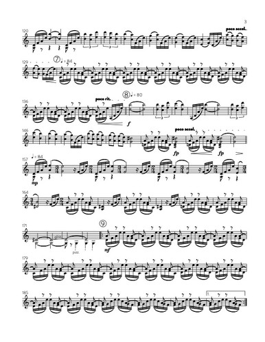Silver Trout from The Extinction Series (solo violin) · plate 3