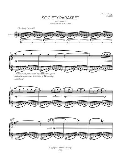 Society Parakeet from The Extinction Series (solo piano)