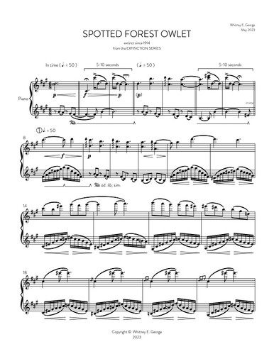 Spotted Forest Owlet from The Extinction Series (solo piano)