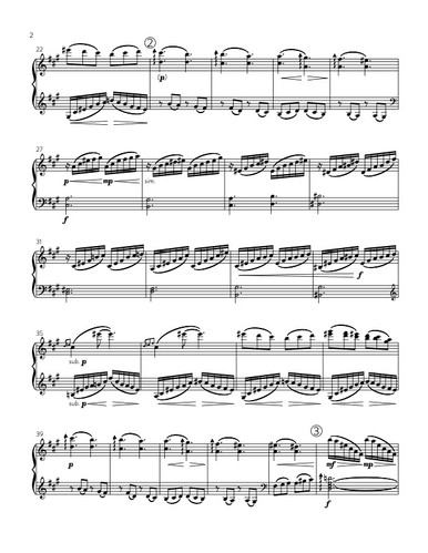 Spotted Forest Owlet from The Extinction Series (solo piano) · plate 2