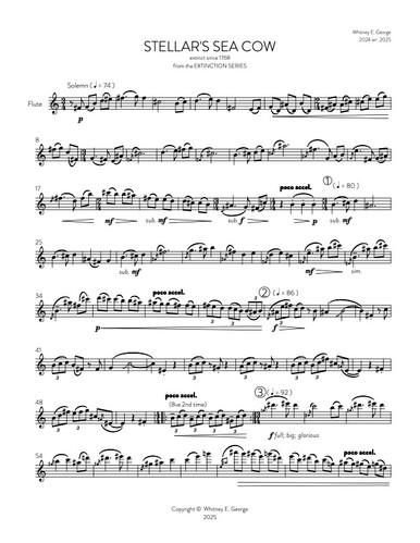 Stellar's Sea Cow from The Extinction Series (solo flute)