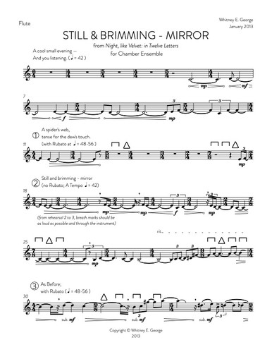 Still & Brimming - Mirror · plate 2