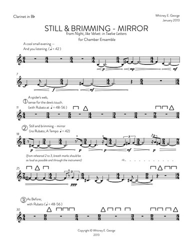 Still & Brimming - Mirror · plate 3