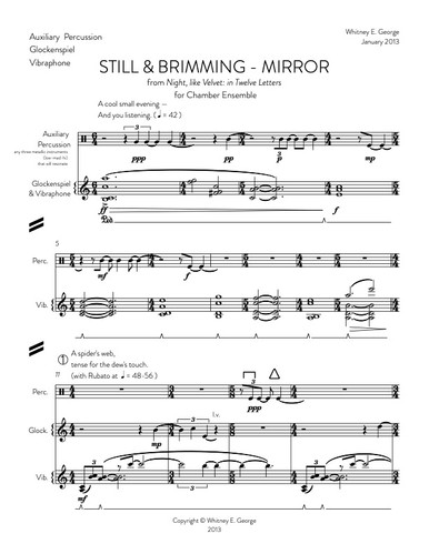 Still & Brimming - Mirror · plate 6