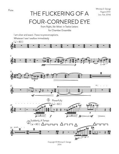 The Flickering of a Four-Cornered Eye · plate 2