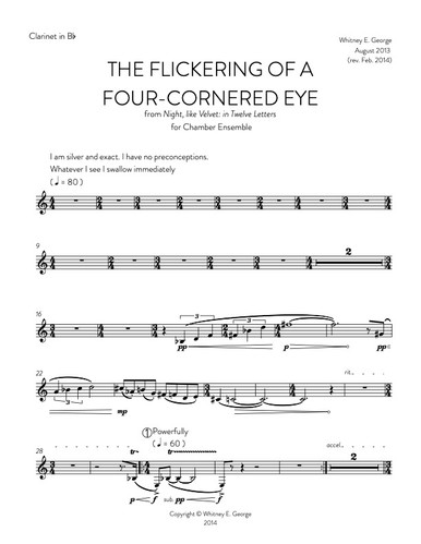 The Flickering of a Four-Cornered Eye · plate 3