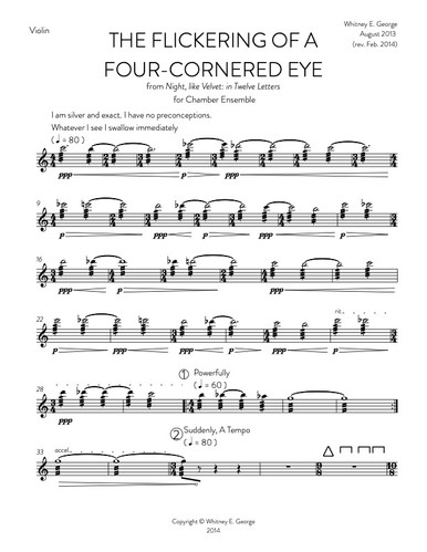 The Flickering of a Four-Cornered Eye · plate 4