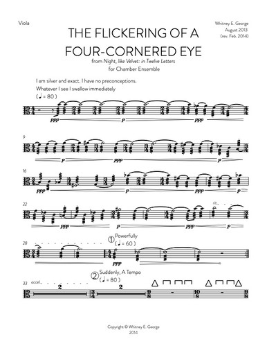 The Flickering of a Four-Cornered Eye · plate 5