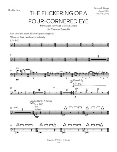 The Flickering of a Four-Cornered Eye · plate 7