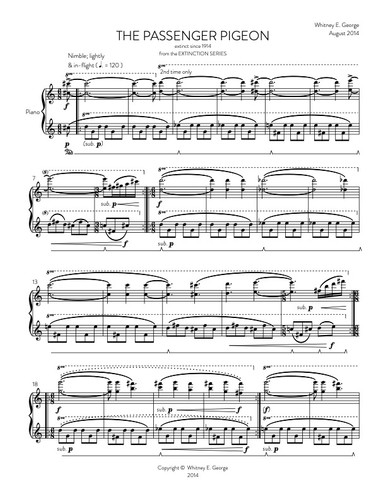 The Passenger Pigeon from The Extinction Series (solo piano)