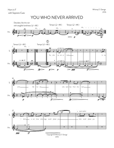 YOU WHO NEVER ARRIVED · plate 9