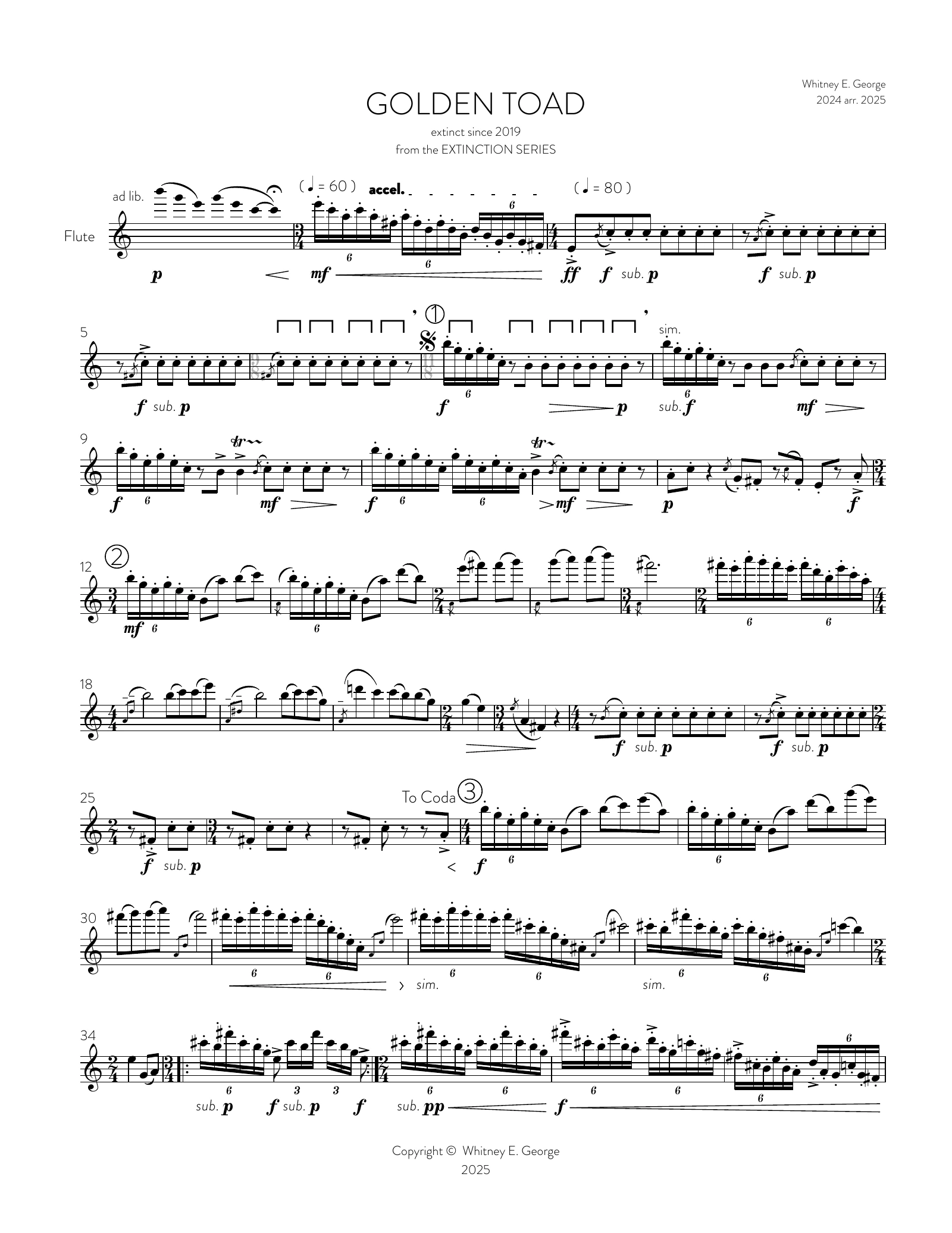 Golden Toad from The Extinction Series (solo flute)