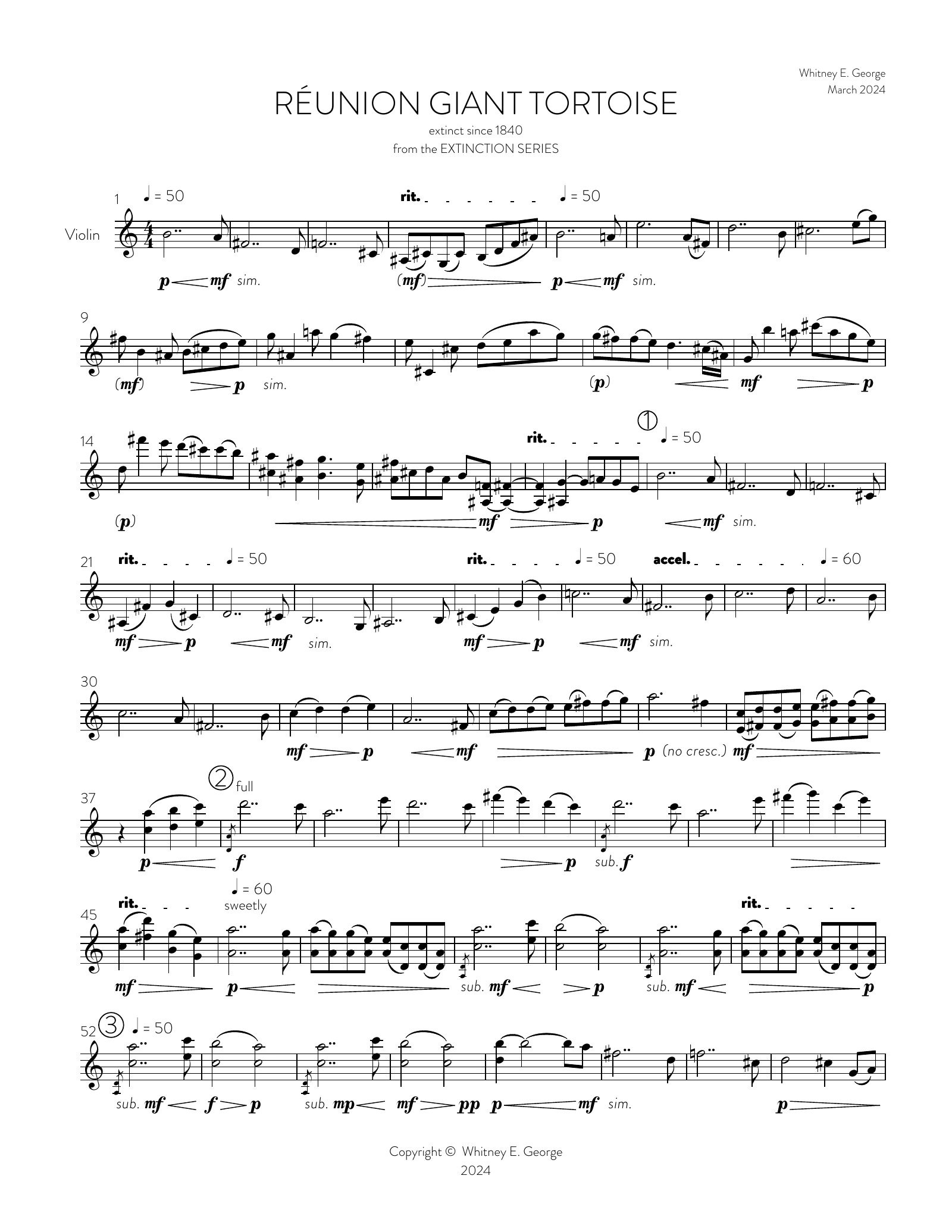 Reunion Giant Tortoise from The Extinction Series (solo violin)