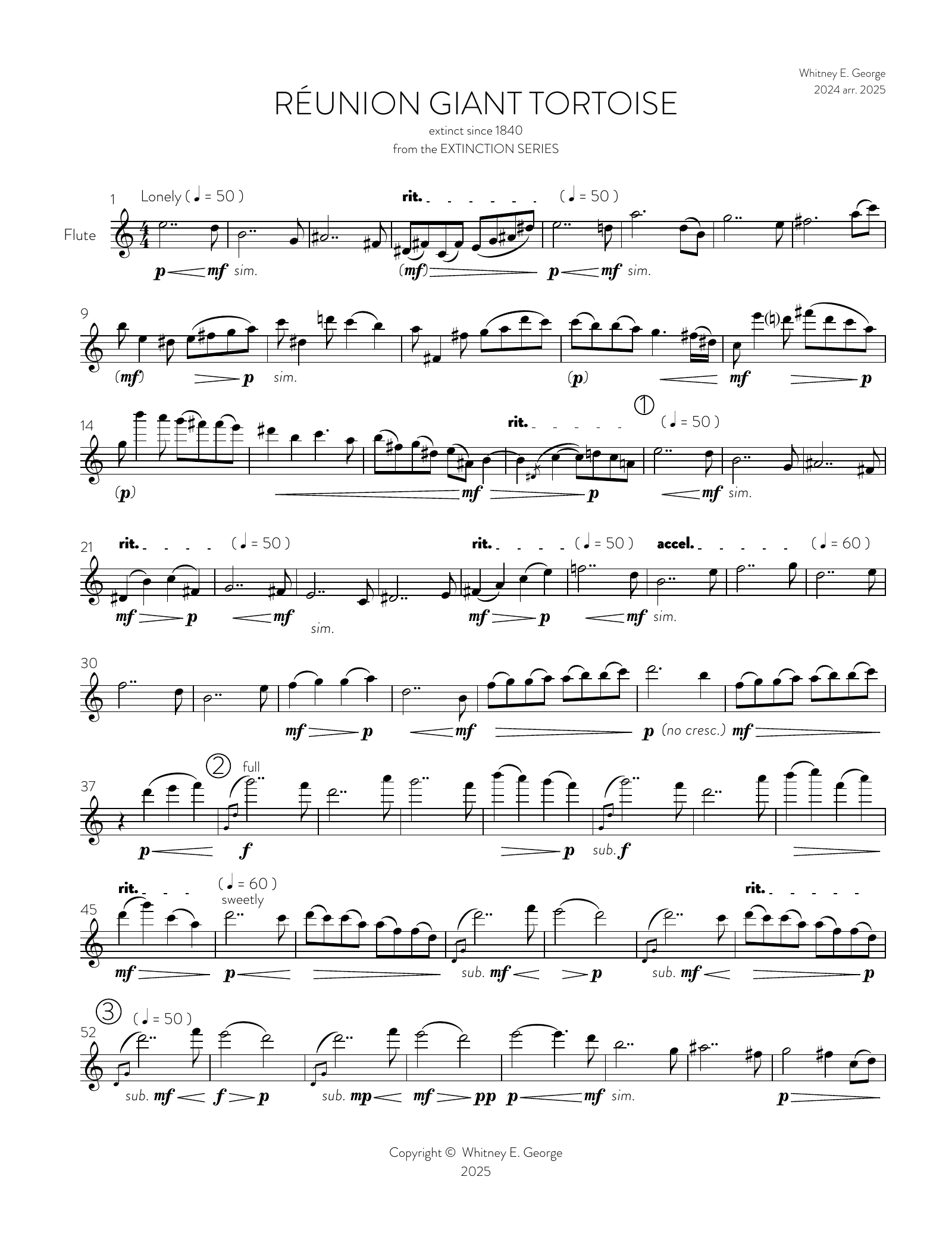 Reunion Giant Tortoise from The Extinction Series (solo flute)