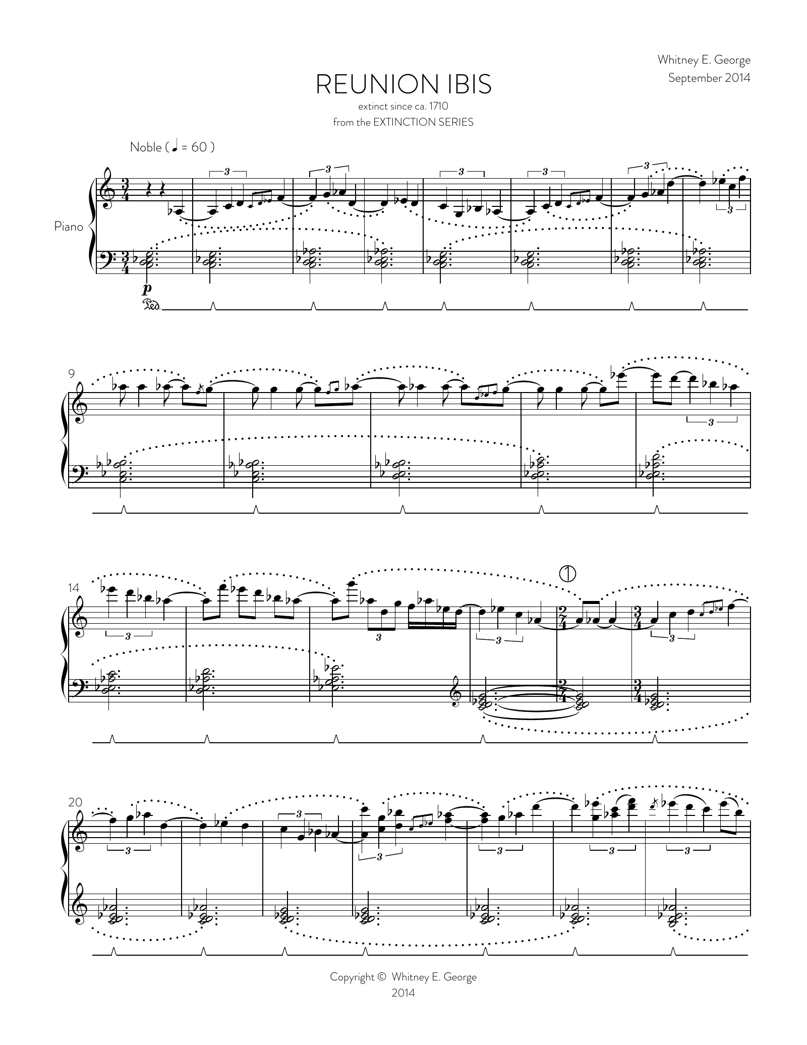 Reunion Ibis from The Extinction Series (solo piano)