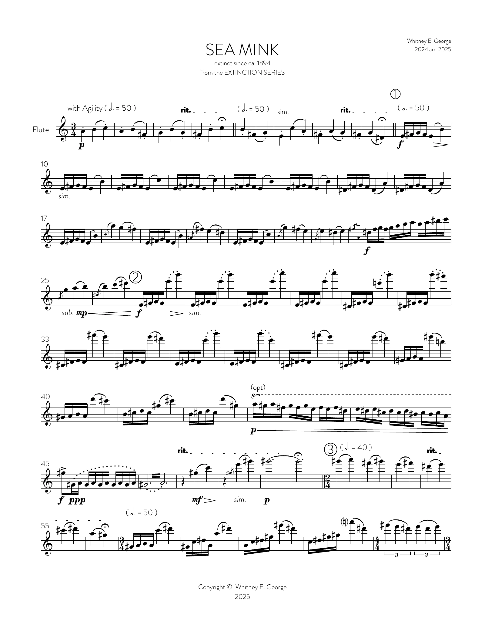 Sea Mink from The Extinction Series (solo flute)