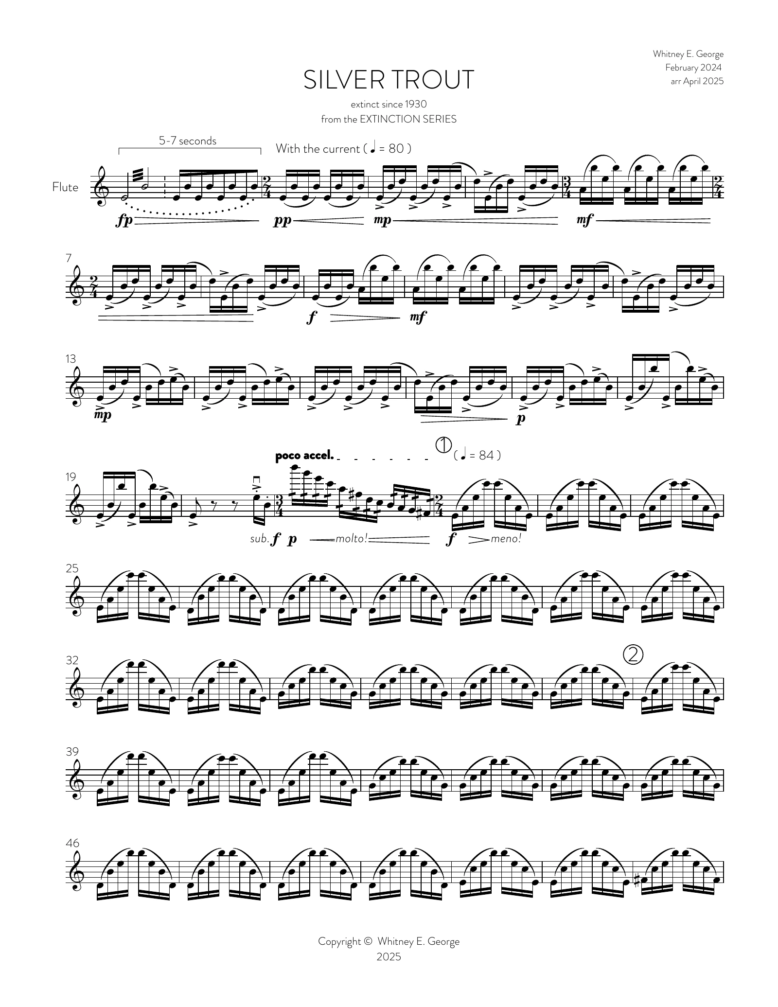 Silver Trout from The Extinction Series (solo flute)