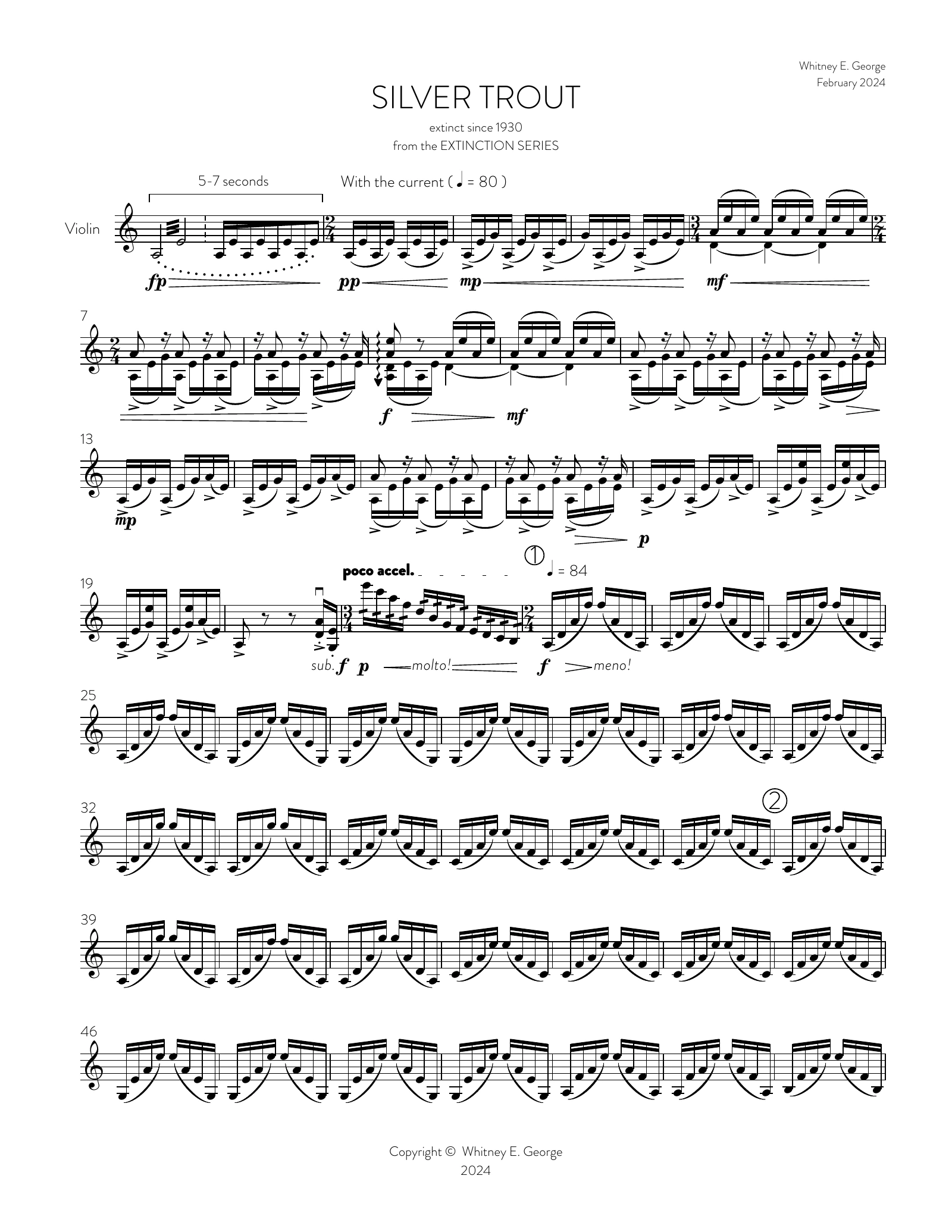 Silver Trout from The Extinction Series (solo violin)
