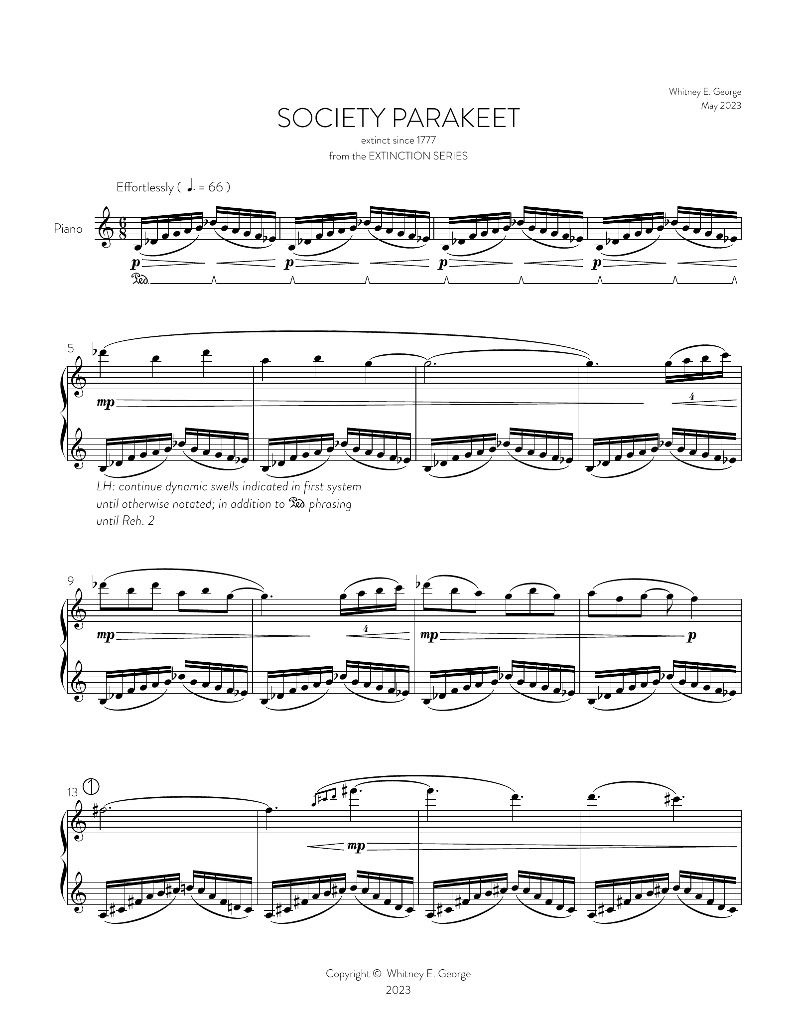 Society Parakeet from The Extinction Series (solo piano)