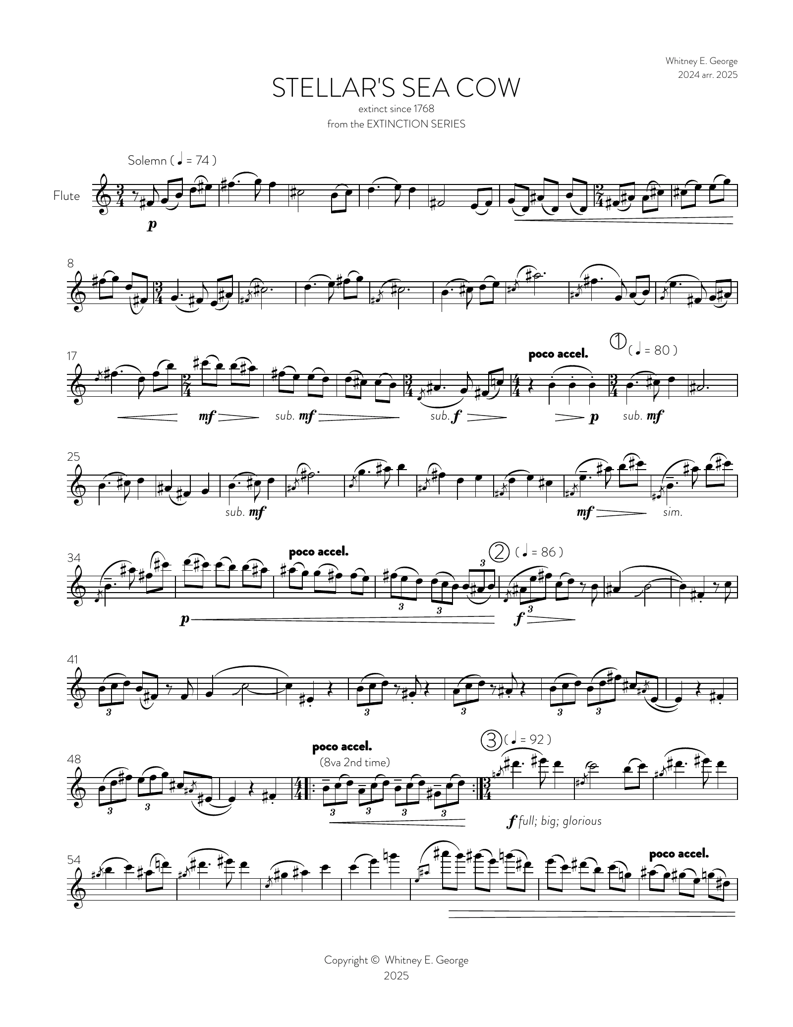 Stellar's Sea Cow from The Extinction Series (solo flute)