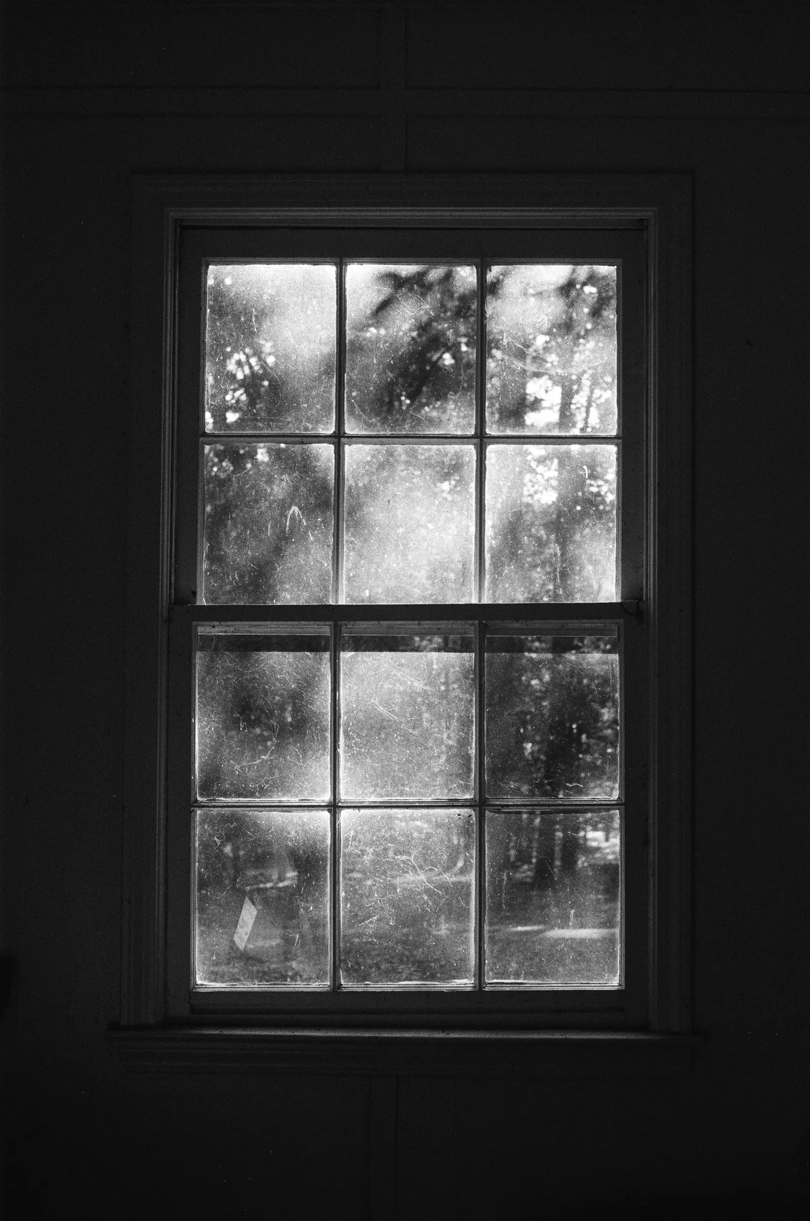 Frame 3 from Iris Wren’s photographic field record — the object alone