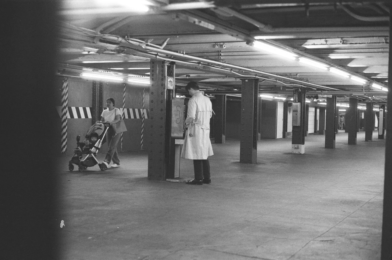Unlabelled laboratory return occupying Frame 19.
